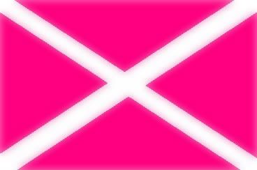 pinkflag.jpg
