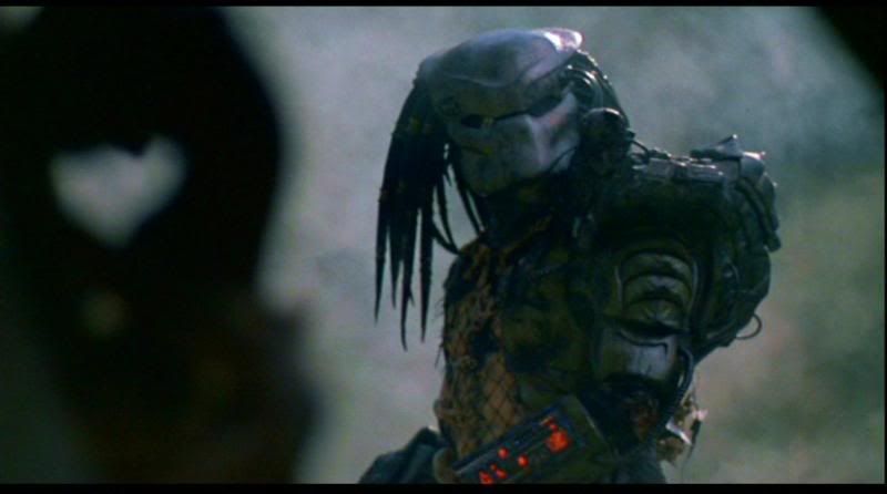 Predator_36.jpg