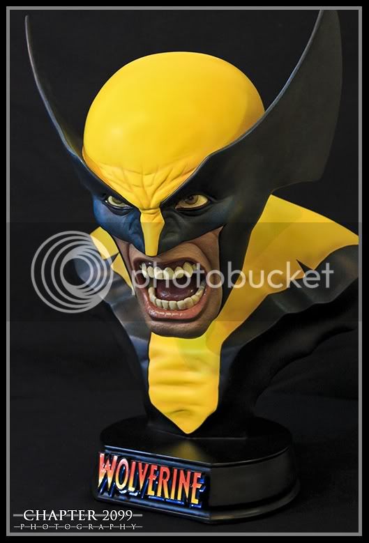 Wolverine1-1.jpg