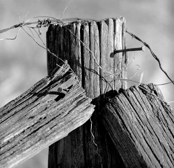 fencepost2.jpg