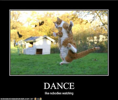 cat-dances-like-nobody-is-watching.jpg