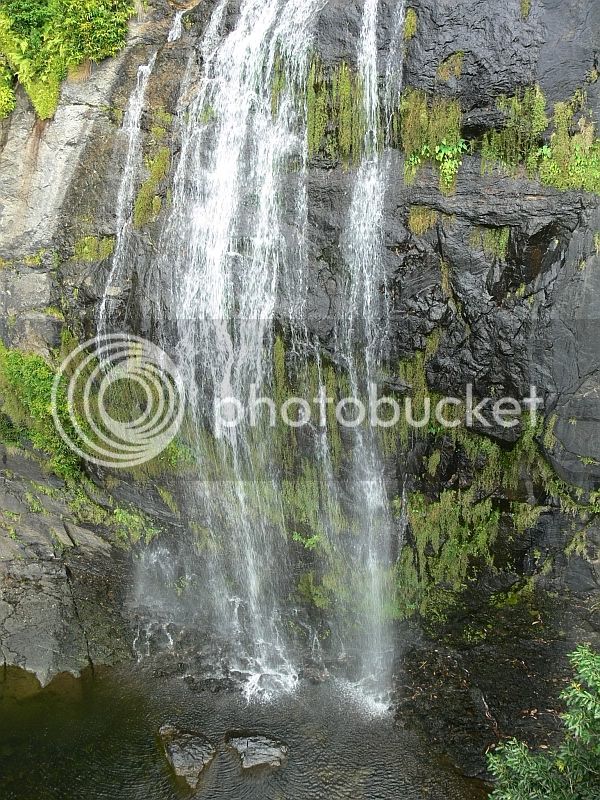 waterfall2herping.jpg