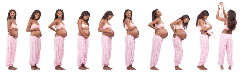 pregnancy-facts.jpg