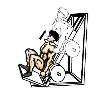 The%20hack%20squat%20exercise.jpg