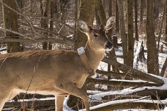 dnr.wisconsin.gov