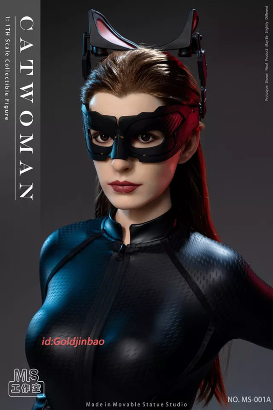 MS-Studio-1-1-Scale-Catwoman-Action-Figure-Model-silica-gel-Anne-7.jpg