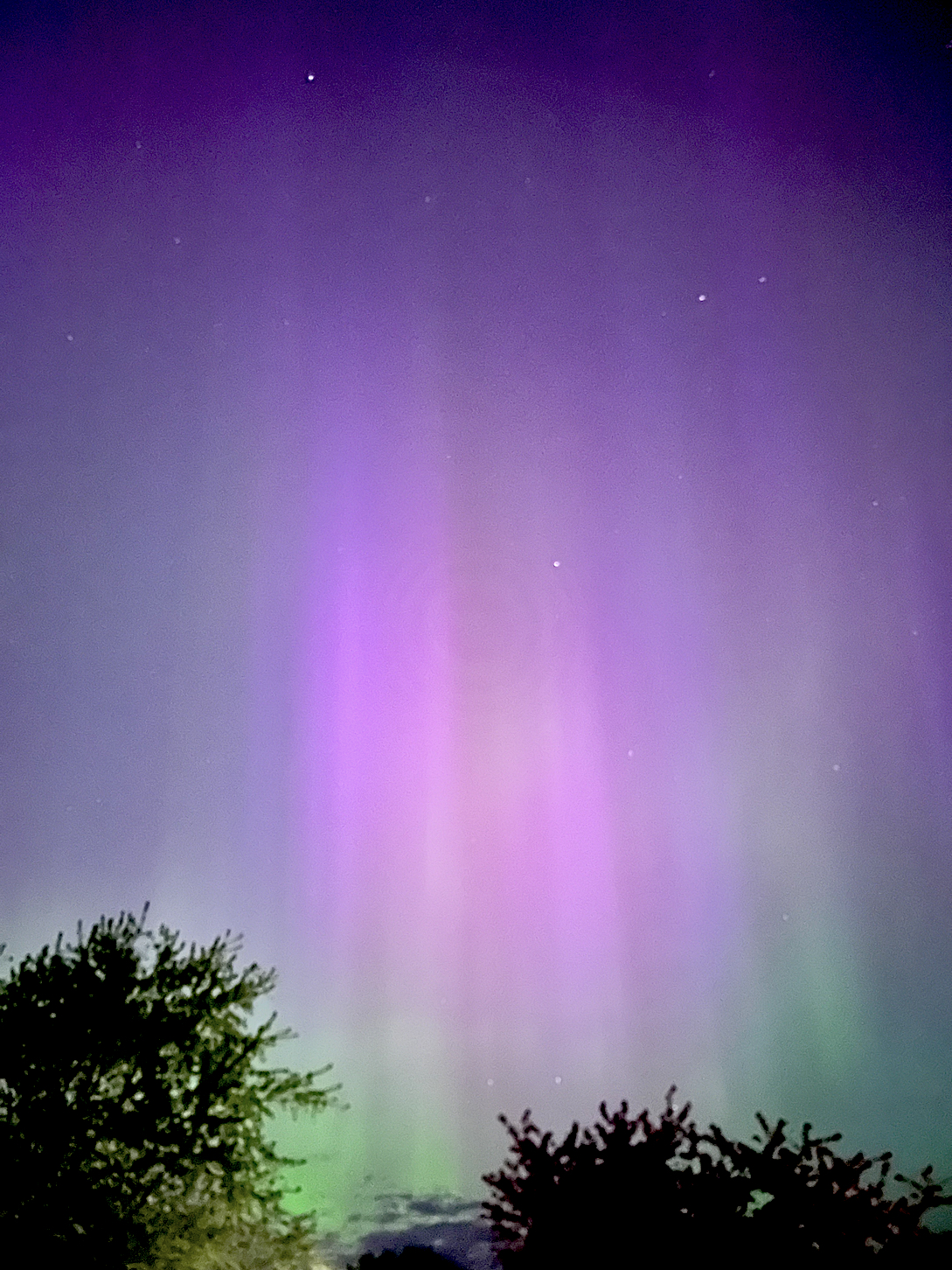 c-Roch-Auroras-7.jpg