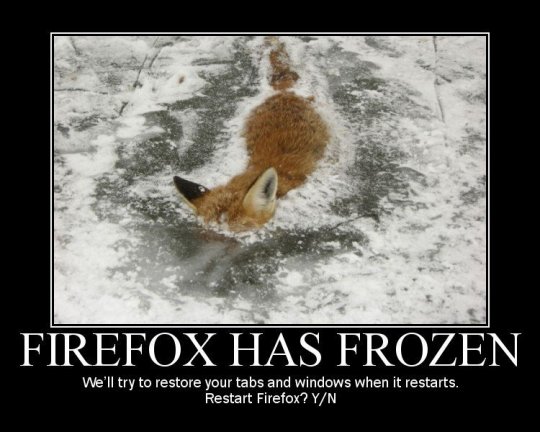 395379d1301164040-unlogische-dumme-lustige-witze-firefox-has-frozen.jpg