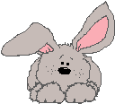 bunny2.gif