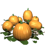 small_pumpkin_patch_lg_clr.gif