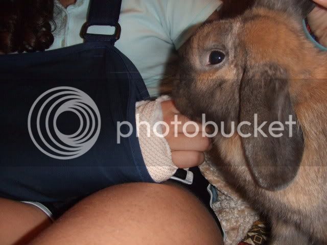 2008_0110bunnyshoot0112.jpg