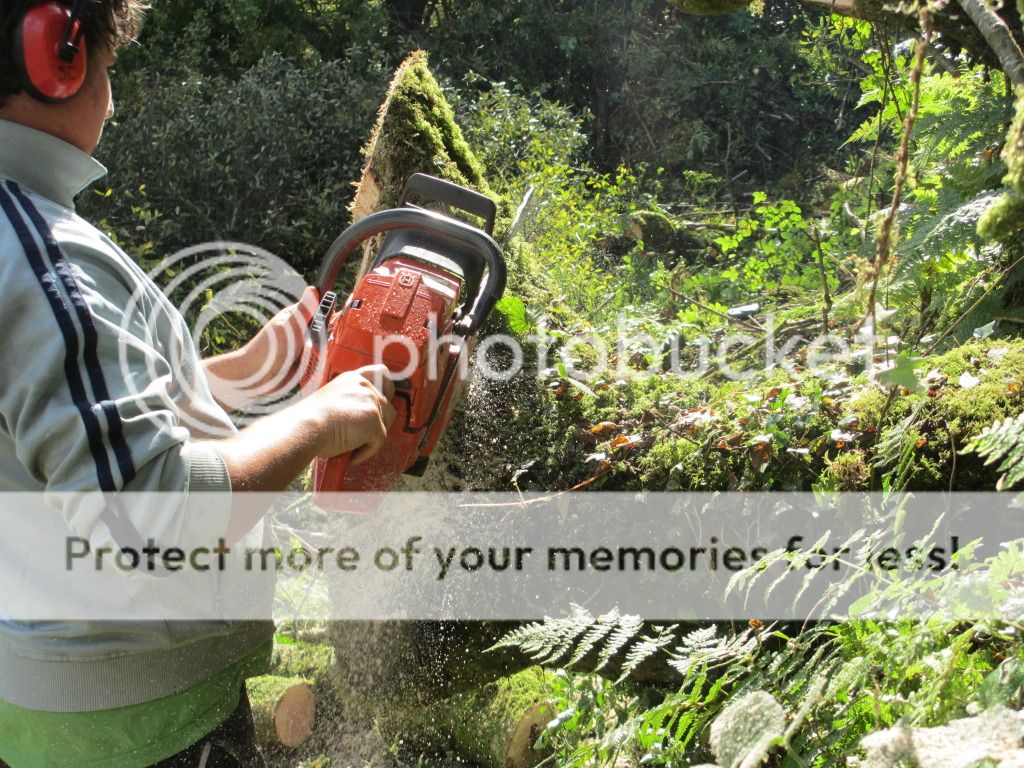 arboristGOAT009.jpg