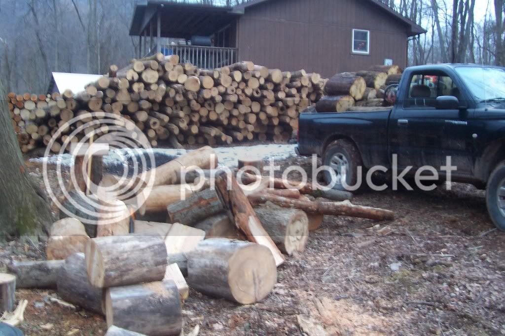 Woodpiles2162013005.jpg