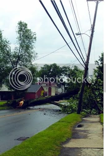 TelephonePole.jpg