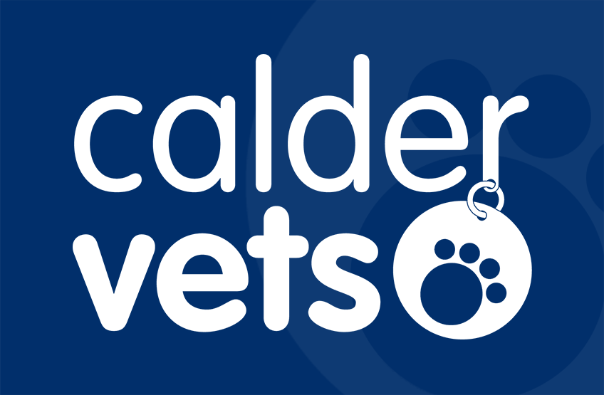 www.caldervets.co.uk