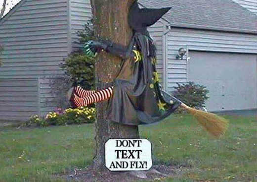 witch-dont-text-and-fly-crash-tree.jpg
