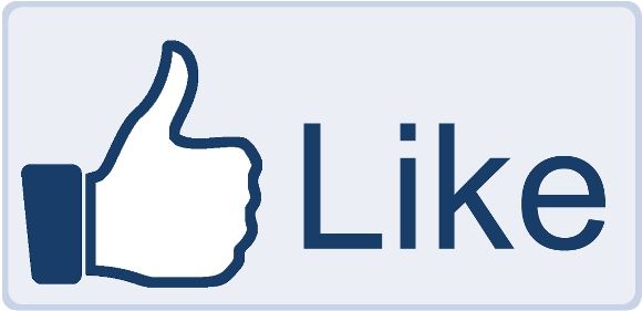 Facebook-Like-Button-big_zps9b87b5ad.jpg