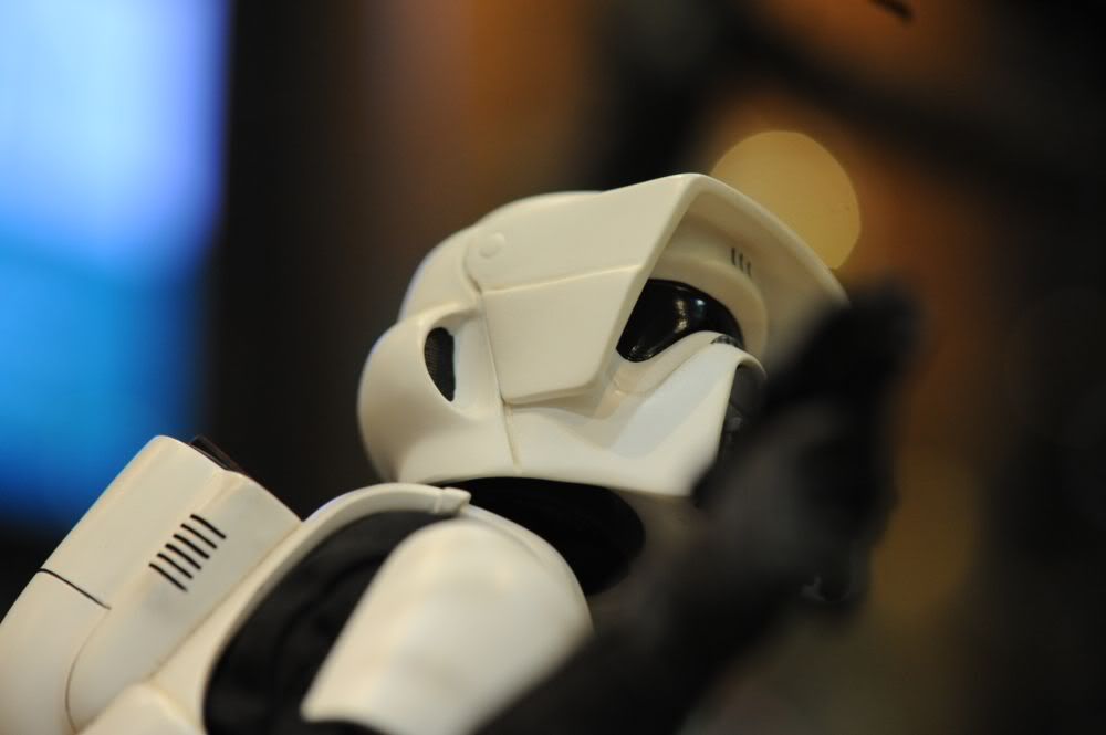 scoutrooper4a.jpg