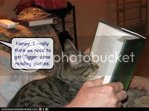 funny-cat-pictures-hes-getting-nose-prints-on-the-pages-again.jpg