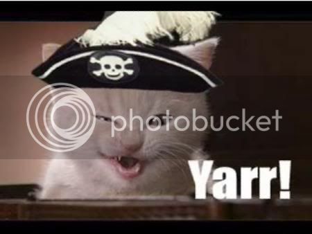 pirate-cat.jpg