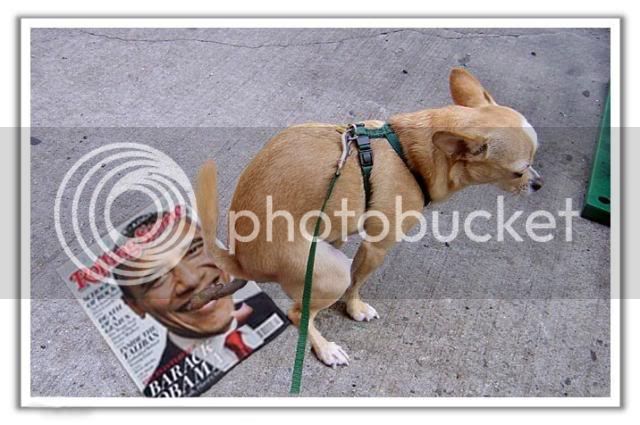 dog-pooping-on-obama.jpg