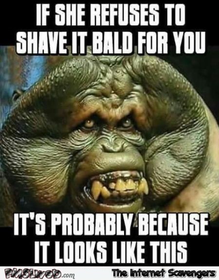 4-if-she-refuses-to-shave-it-bald-for-you-funny-adult-meme.jpg