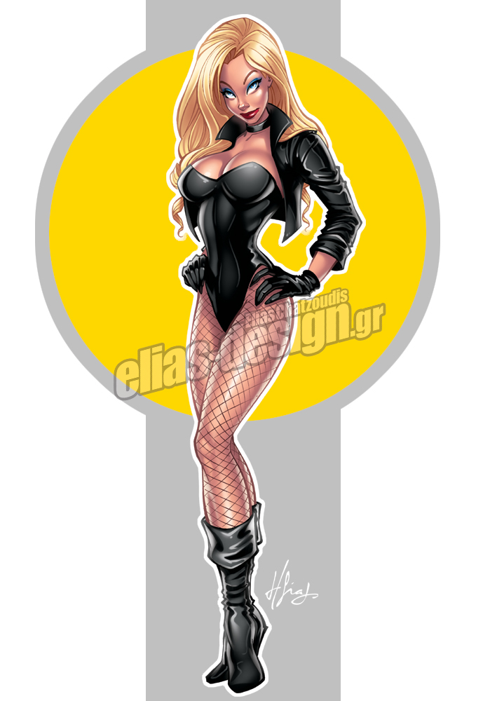 black_canary_by_chatgr-d3fg1c6.jpg