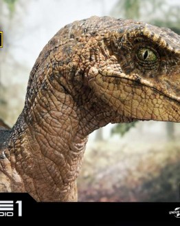 Jurassic-Park-Film-Velociraptor-Closed-mouth-Prime1-Bunker158-15.jpg