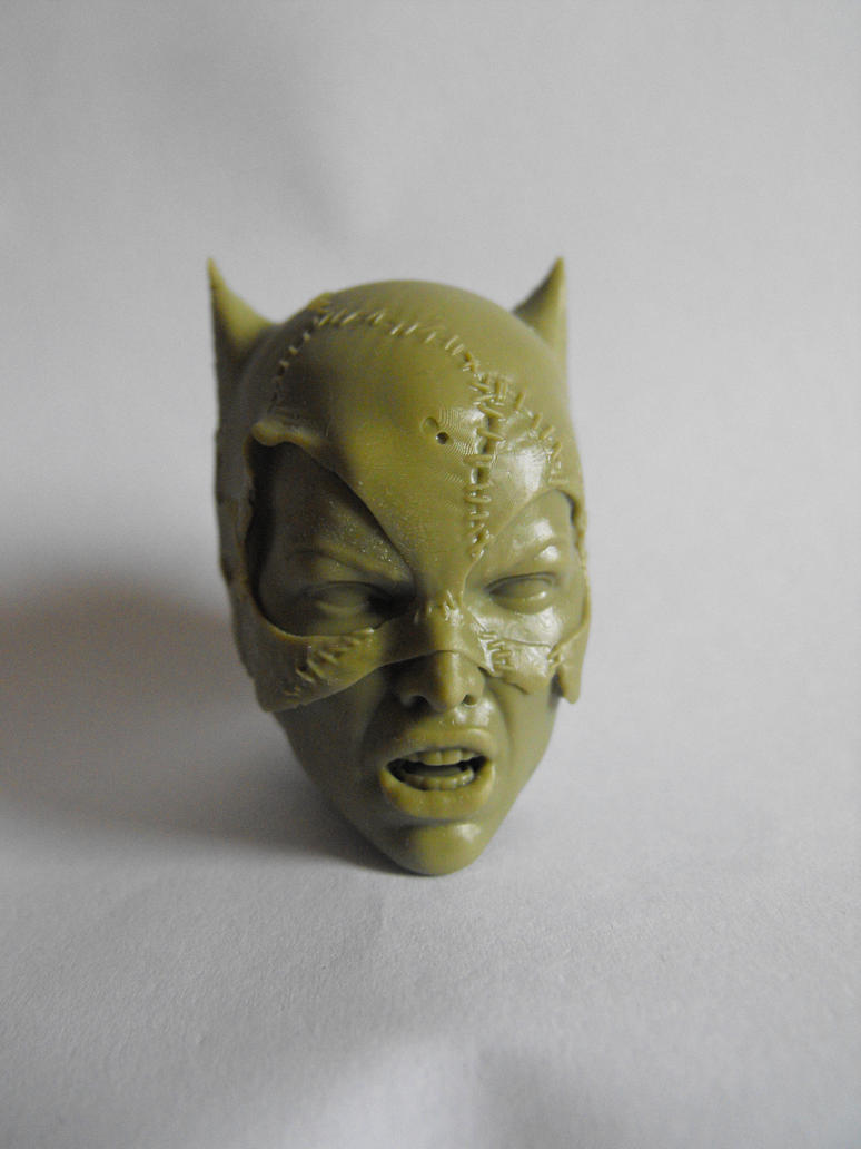 angry_catwoman_by_sean_dabbs_fx-d5666jt.jpg