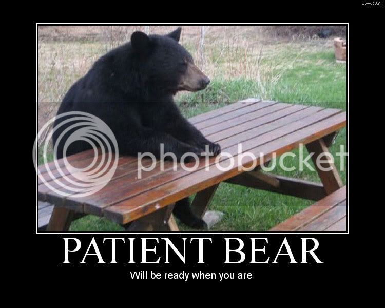 Patient_bear.jpg