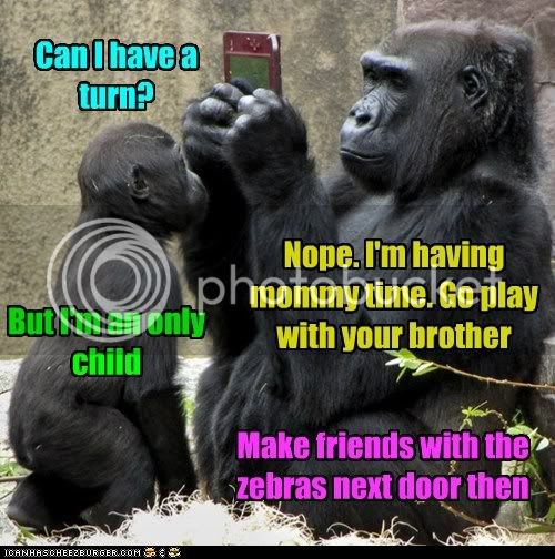 funny-animal-captions-animal-capshunz-parenting-for-animals.jpg