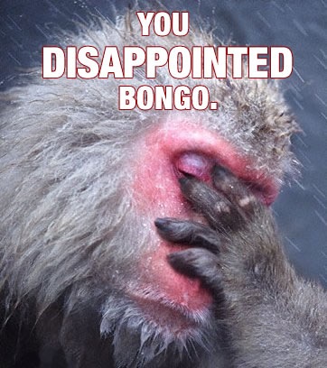 disappointing_bongo-1.jpg