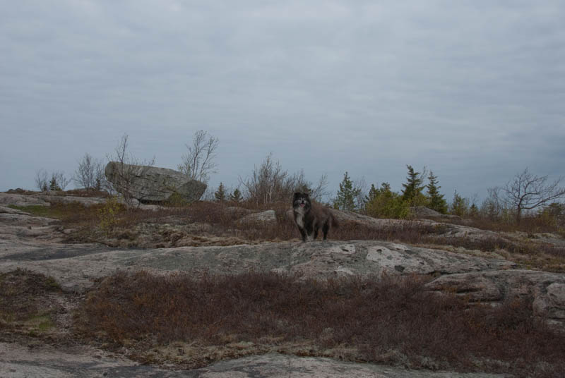 straightback-quarry-5-1-10-07a.jpg