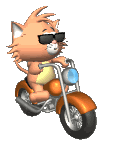 cool_cat_on_motorcycle_lg_clr.gif