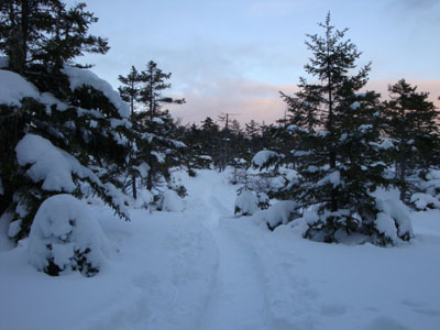 mtisraeltrail-2009-0122a.jpg