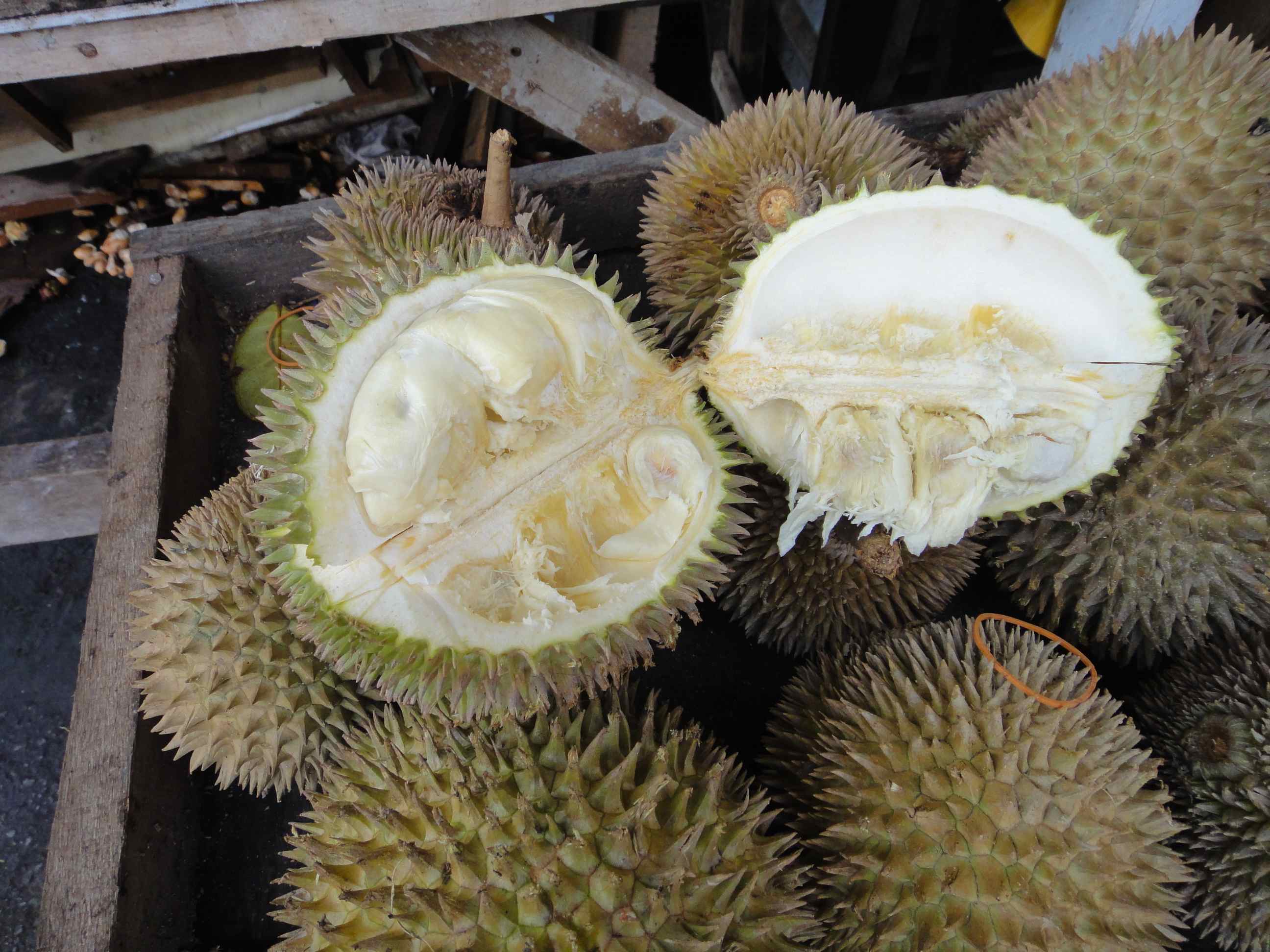 opened_durian_fruit.jpg