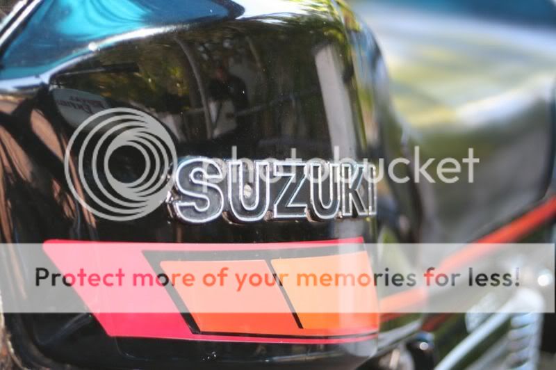Suzuki3.jpg