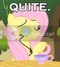 flutterquitesmall.jpg