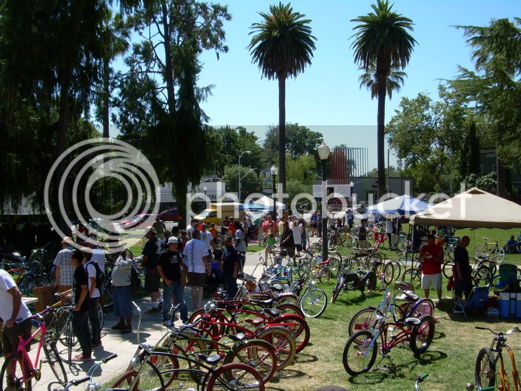 Cyclefest2010003.jpg