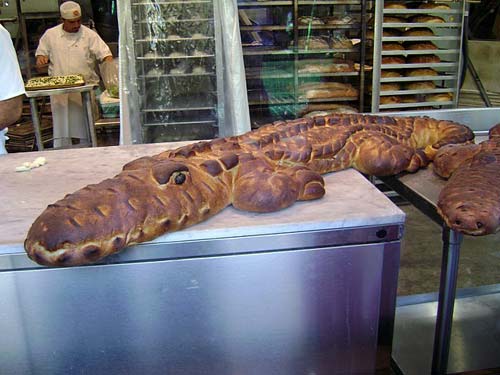 alligator-bread.jpg