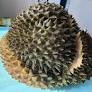 time-piece-Durian.jpg