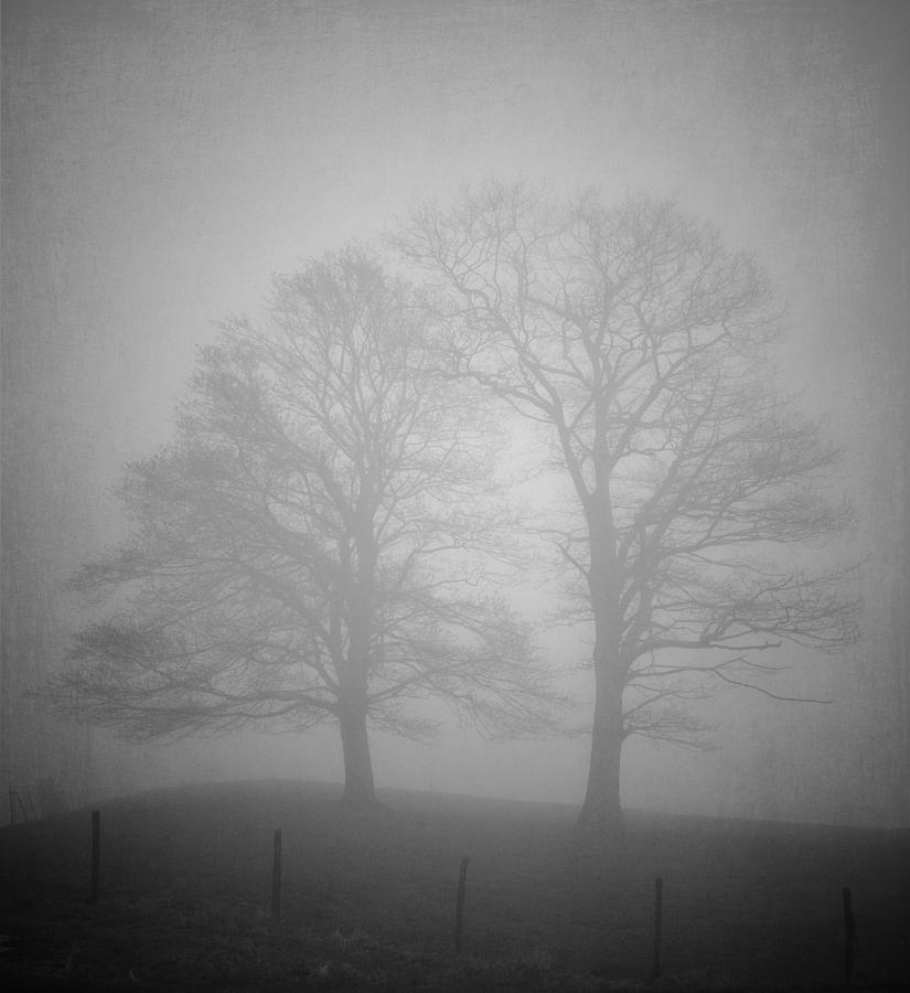 hazy-silhouette-tommy-white.jpg