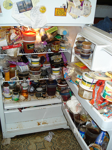 hoarder-fridge1.jpg