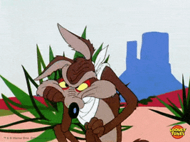 Angry Wile E Coyote GIF by Looney Tunes