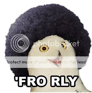 fro.jpg