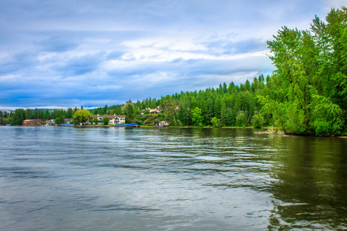 flathead-700x467.jpg