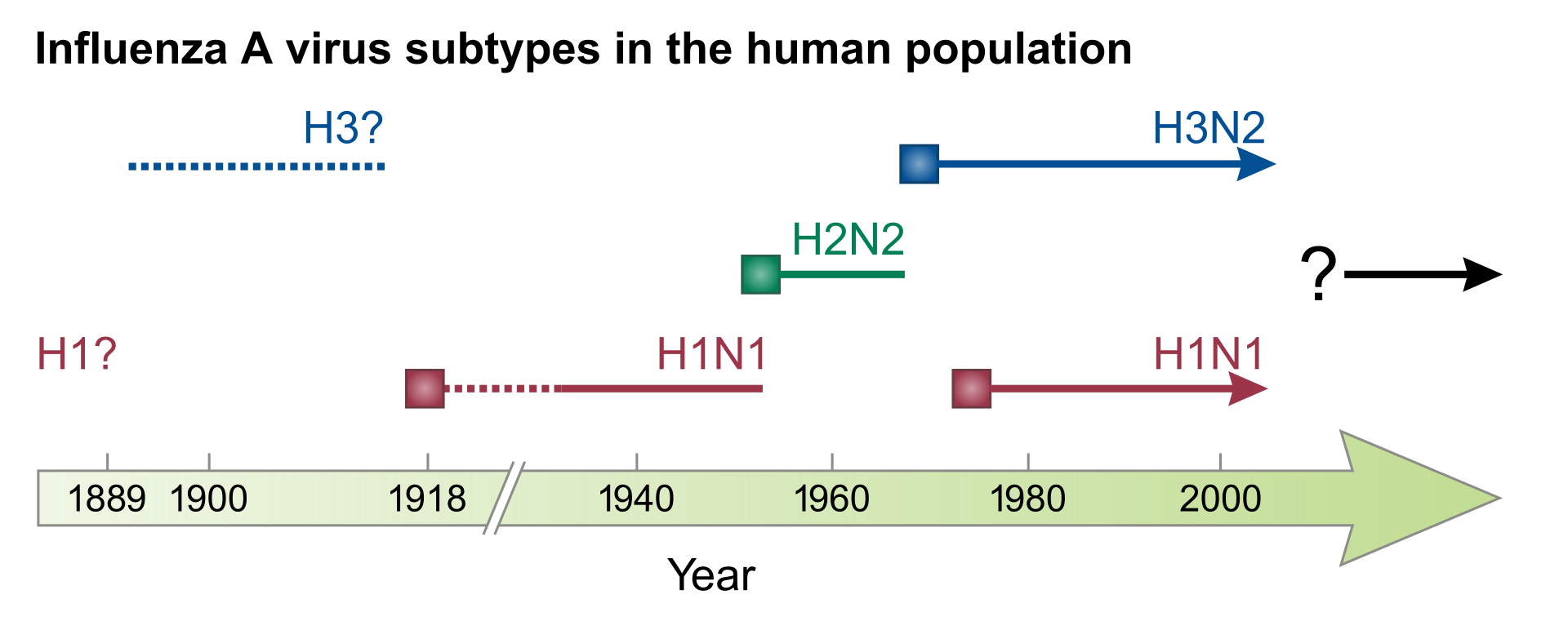 1920px-Influenza_subtypes.svg.png