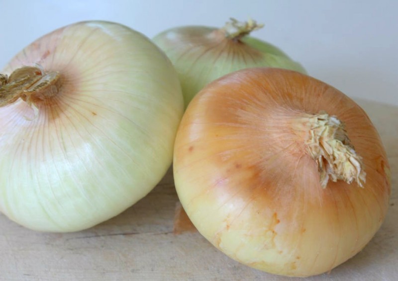 Vidalia-onions-whole1-e1430151951646.jpg