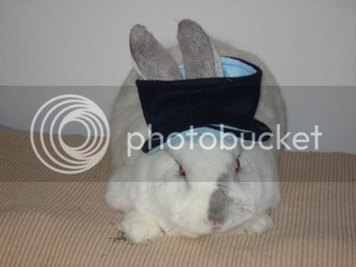 Wilbur_Easter_Bonnet.jpg