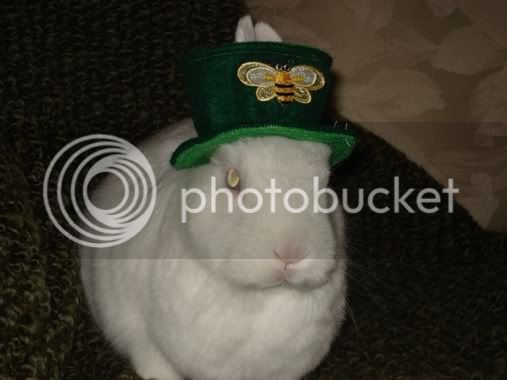 Buttercup_Easter_Bonnet_2.jpg